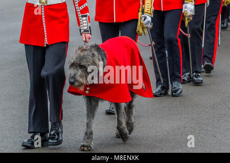 London, UK, 17. März 2018. Ihr Maskottchen, der Irische Wolfshund Domhnal führt die März Vergangenheit - Der Herzog von Cambridge, Oberst der Irischen Schutzvorrichtungen, die von der Herzogin von Cambridge begleitet, besuchte die 1.BATAILLON Irish Guards an der St. Patrick's Day Parade. 350 Soldaten auf den Paradeplatz an Kavallerie Kaserne marschierte durch ihr Maskottchen geführt, der Irische Wolfshund Domhnall. Stockfoto