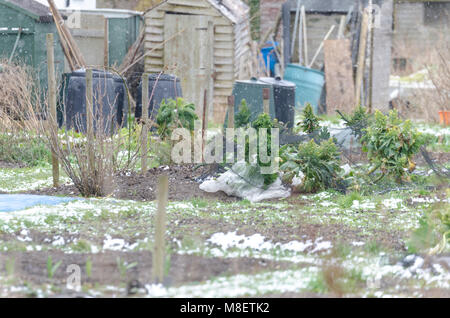 Helles Abstauben von winter schnee auf eine Zuteilung in South Cambridgeshire, Großbritannien Stockfoto