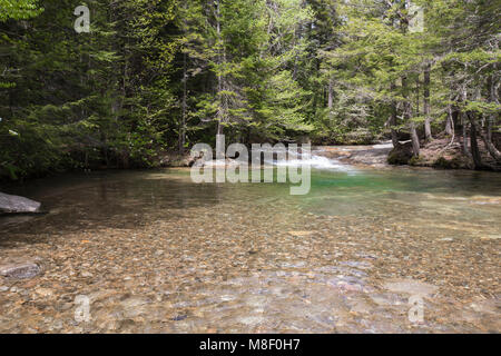 Bäche am Becken in Franconia Notch State Park in Lincoln, New Hampshire an einem sonnigen Frühlingstag. Stockfoto