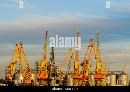 Gelben Krane, die in einem Seehafen vor dem Hintergrund von Metall Getreidespeicher und ein blauer Himmel mit Wolken und fliegen Scharen von Vögeln Stockfoto