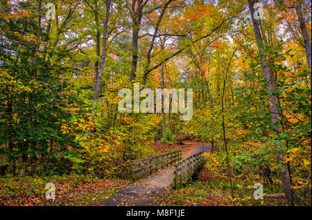 Alte hölzerne wandern Brücke über einen kleinen Bach in einem Maryland Wald im Herbst mit Herbst Blätter auf dem Boden Stockfoto