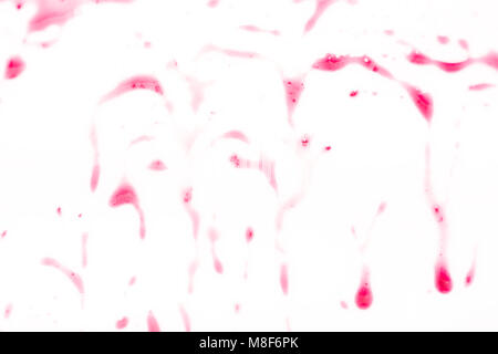 Rote beeren Marmelade splash, Tropfen auf weißem Hintergrund. Stockfoto