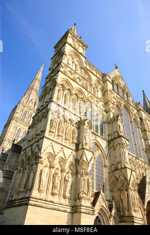 Salisbury Kathedrale Salisbury Wiltshire England Stockfoto