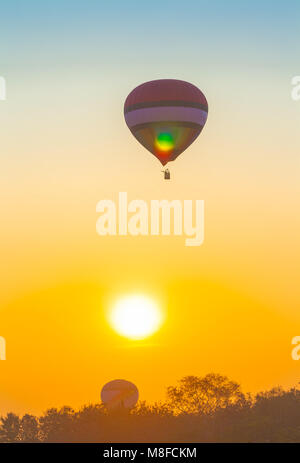 Hot Air Balloon bei Sonnenaufgang oben Singha Park in Chiang Rai im Norden von Thailand fliegen Stockfoto