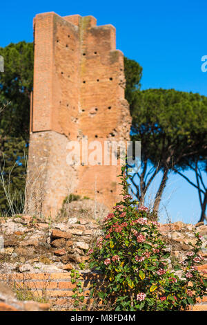 Domus Flavia. So Basilika Ruinen auf Palatin, Rom, Latium, Italien genannt. Stockfoto