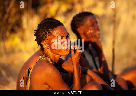 Ju/'Hoansi oder San Buschmänner Jäger im afrikanischen Busch. Viele Touristen kamen, um dann in das Lebende Museum an Grashoek, Namibia besuchen Stockfoto