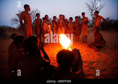 Ju/'Hoansi oder San Buschmänner Jäger im afrikanischen Busch. Viele Touristen kamen, um dann in das Lebende Museum an Grashoek, Namibia besuchen Stockfoto