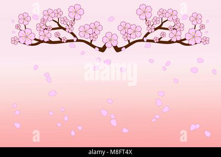 Voller Blüte Kirschblüten und Blas-/fliegen Blütenblätter auf Gradienten Altrosa farbigen Hintergrund. Vector Illustration. Stock Vektor