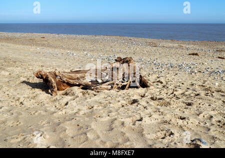 Eine alte verwitterte und Meer getragen Log auf dem Strand im Osten Norfolk bei Winterton-on-Sea, Norfolk, England, Vereinigtes Königreich, Europa. Stockfoto