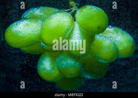 Frische Weintrauben unter strömendem Wasser auf weißem Hintergrund Stockfoto