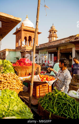 Ein junger indischer Mann an Clock Tower Markt in Jodhpur Indien verkaufen produzieren, während der schönen sonnigen Tag. Er verkauft grüne Paprika, Spinat, Kartoffeln, Stockfoto