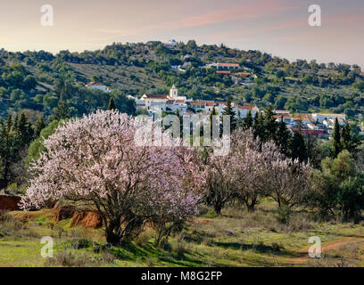 Mandelbäume in Blume in der Nähe von Albufeira mit Paderne Dorf in den Hügeln hinter Stockfoto