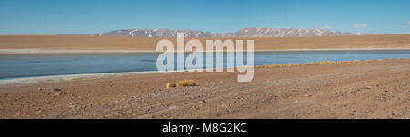 Laguna Kollpa Kkota (collpa Laguna), Sud Lípez, Potosí, Bolivien Stockfoto