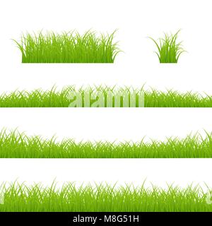Gras Grenzen gesetzt. Gras Anlage Panorama. Vector Illustration auf weißem Hintergrund Stock Vektor