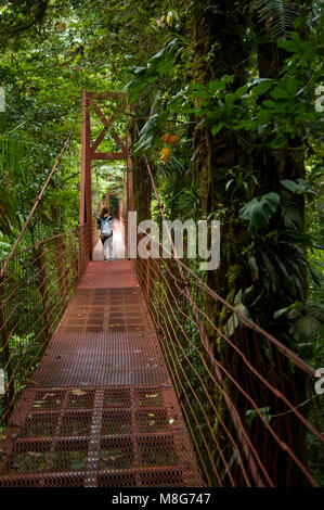 Eine Hängebrücke ermöglicht es den Besuchern die rainforest Stock von oben in Monteverde Cloud Forest Reserve zu sehen. Stockfoto