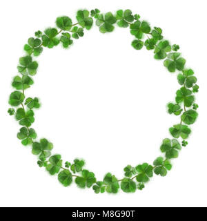 Shamrock Kranz isoliert auf Weiss. St.-Patrick's Day botanischen Anordnung. Runde Endframe für verschiedene Werbemittel drucken Materialien. Stockfoto