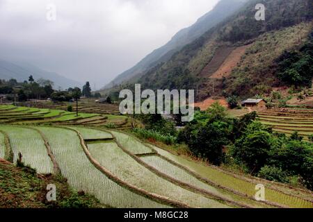 Ha Giang, Vietnam - 17. März 2018: Die reisterrassen von Bergen in der Provinz Ha Giang umgeben Stockfoto