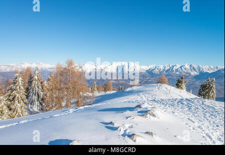 Tolle Aussicht auf die schneebedeckten Dolomiten von einem kleinen verschneiten Hügel. Bäume, Wald im Vordergrund, das Tal und die Stadt an der Unterseite. Stockfoto