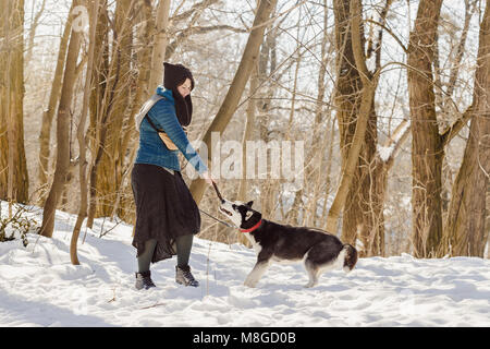 Stilvolle Frau mit lustigen Hut und Rock mit ihr spielen Siberian husky Hund im Winter Wald mit dem Stick Stockfoto