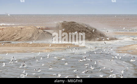 Pumpen Sand auf den Strand zu ersetzen, was aufgrund des steigenden Meeresspiegels verloren gegangen ist. Stockfoto