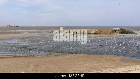 Pumpen Sand auf den Strand zu ersetzen, was aufgrund des steigenden Meeresspiegels verloren gegangen ist. Stockfoto