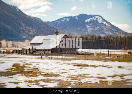 Eine alte, verwitterte gambrel Stil Scheune, im Südwesten der Stadt von Clark Gabel, Idaho. Die Stadt von Clark Gabel Bonner Grafschaft, in norteast entfernt Stockfoto