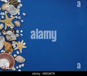 Flach. Schalen von verschiedenen Arten auf einem blauen Hintergrund. Muscheln und Seesterne auf einem dunkelblauen Hintergrund. Ferienhäuser Stockfoto