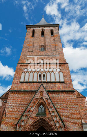 Ruinen der Kathedrale von Tartu Stockfoto