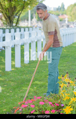 Man hacken Blumen im Friedhof Stockfoto