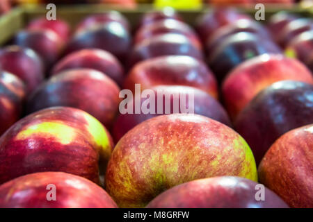 Ein Granny Smith Apfel unter Gruppe von Gala Äpfeln in Zeilen auf ein Lebensmittelgeschäft zum Verkauf. Vertikale. Tageslicht. marketing Anzeige Obst. Stockfoto