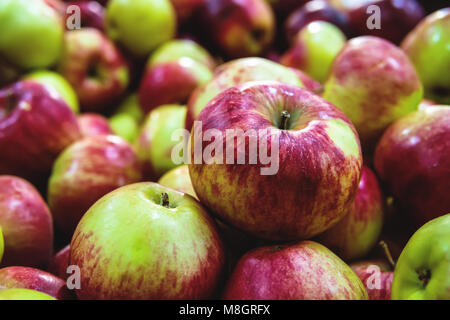 Frische rohe viel Grün rote Äpfel am Counter, viele organische Frische süße Äpfel, Haufen Äpfel bilden einen Hintergrund Äpfel als Textur hochwertige resolut Stockfoto