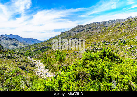 Die engen und malerischen Bainskloof Pass durch die Witte Fluss oder Witrivier Canyon zwischen den Städten Ceres und Wellington in der Provinz Western Cape Stockfoto