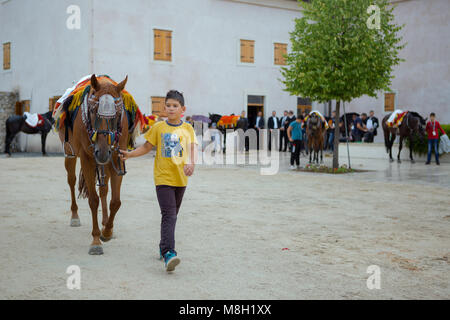 Kind Pferd für einen Spaziergang vor Alka Turnier in der Stadt Sinj, Dalmatien, Kroatien Stockfoto