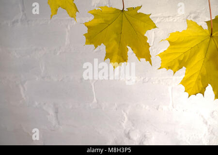 Herbst Kranz aus trockenen farbige Blätter und Vogelbeeren mit roter Schleife auf weißem Hintergrund. Flach Stockfoto