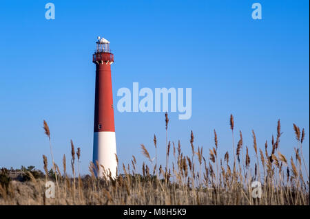 Barnegat Leuchtturm, Long Beach Island, New Jersey, USA. Stockfoto