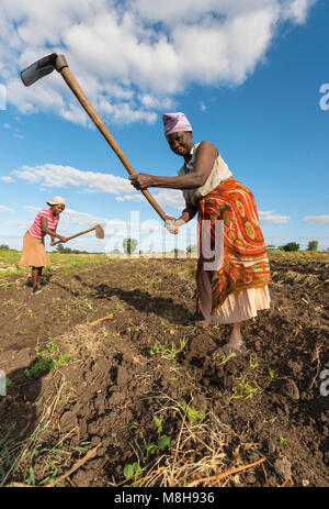 Frau ein Feld mit Hacken in Simbabwe Pflug.