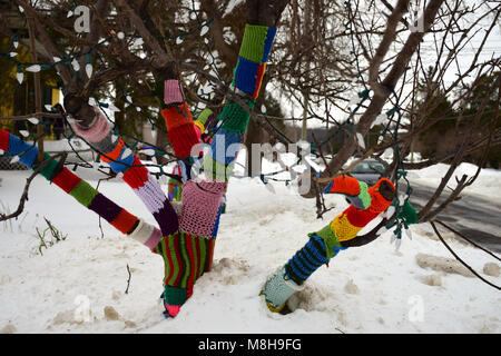 Bäume mit gestrickten Schals Stockfoto