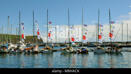 Marina von Horta. Faial, Azoren, Portugal Stockfoto