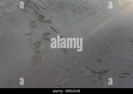 Spuren im Sand Titel Travel Tropical Stockfoto