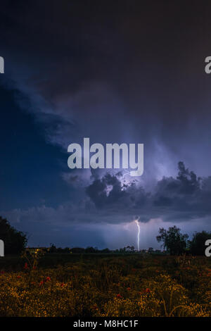 Riesige Blitz schlägt den Boden, kommen einen thunderhead während einem Sommer Sturm gebildet. Pflanzen, Bäume und Hügel am Horizont. Stockfoto