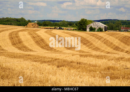 Einen sonnigen Tag Licht Muster auf Konturen mit wechselnden Bands von Gelb auf einer vor kurzem geerntetes Heu Feld. Stockfoto