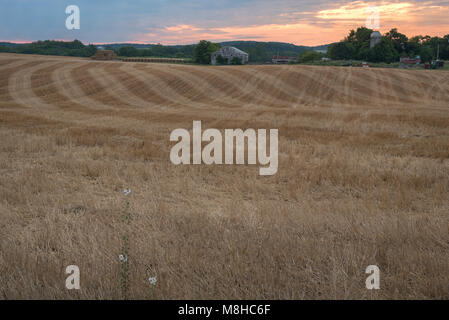 Sonnenaufgang auf der Farm, die Höhenlinien der zuletzt geerntete Heu. Scheunen und Silos zusammen mit Bäume bilden einen Hintergrund, mit einem bunten Himmel. Stockfoto