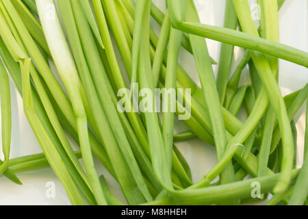 Grüne Zwiebeln mit Schnittlauch auf Anzeige Vitamine. Stockfoto