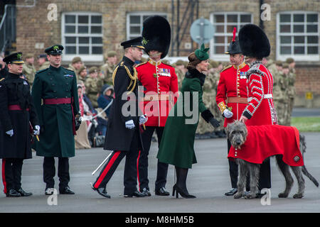 London, UK, 17. März 2018. Das Maskottchen, der Irische Wolfshund Domhnal erhält seine Shamrock - der Herzog von Cambridge, Oberst der Irischen Schutzvorrichtungen, die von der Herzogin von Cambridge begleitet, besuchte die 1.BATAILLON Irish Guards an der St. Patrick's Day Parade. 350 Soldaten auf den Paradeplatz an Kavallerie Kaserne marschierte durch ihr Maskottchen geführt, der Irische Wolfshund Domhnall. Ihre königliche Hoheit die Shamrock, Offiziere und Unteroffiziere, die wiederum entlang der Reihen herausgegeben. Die Parade endete mit einer März - in der Vergangenheit, während der Seine Königliche Hoheit Prinz William nahm die Salute. Stockfoto
