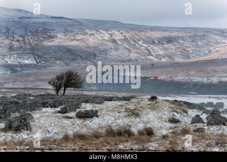 Schnee in den Yorkshire Dales National Park, Großbritannien. Ein Güterzug mit Logs zu North Wales kreuzt die Ribblehead Viadukt, North Yorkshire, als Blizzard in sich schließt. Minuten später den Blick auf den Viadukt wurde von den Wetterbedingungen ausgelöscht. Quelle: John Bentley/Alamy leben Nachrichten Stockfoto