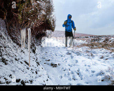 Derbyshire, Großbritannien. 17. März 2018 Mann zu Fuß in das Tier aus dem Osten 2 Schnee & Eis Bedingungen mit einem Border Collie Hund um Kinder Scout & Morley in der Nationalpark Peak District, Derbyshire, England, UK Credit: Doug Blane/Alamy leben Nachrichten Stockfoto