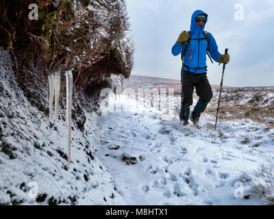 Derbyshire, Großbritannien. 17. März 2018 Mann zu Fuß in das Tier aus dem Osten 2 Schnee & Eis Bedingungen mit einem Border Collie Hund um Kinder Scout & Morley in der Nationalpark Peak District, Derbyshire, England, UK Credit: Doug Blane/Alamy leben Nachrichten Stockfoto