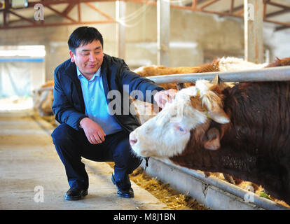 (180318) - Peking, 18. März 2018 (Xinhua) - Wu Yunbo Kontrollen von Rindern an seiner Genossenschaft von Dongsala Dorf in Jarud Qi (Grafschaft), North China Autonome Region Innere Mongolei, Feb 25, 2018. Wu Yunbo der Mongolei ethnische Gruppe kommt aus Dongsala Dorf Jarud Qi (County) der Norden Chinas Autonome Region Innere Mongolei. Als Sekretär der Kommunistischen Partei von China Niederlassung im Dongsala Dorf, initiierte er eine Genossenschaft in 2013 und untersucht die Art und Weise, wie die Menschen aus der Armut zu erhalten. Bauern und Hirten wurden ermutigt, die Genossenschaft durch Investitionen in Form von Bargeld zu verbinden, Stockfoto