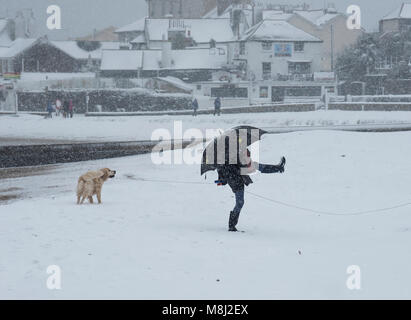 Schnee in Lyme Regis, 18. März 2018. UK Wetter: Eine junge Frau kämpft mit ihrem Schirm, wie Sie geht ihre Hunde am Strand in der Grafschaft Dorset an der Küste von Lyme Regis, wie das Tier aus dem Osten 2 Hdo. Kredit Celia McMahon/Alamy leben Nachrichten. Stockfoto