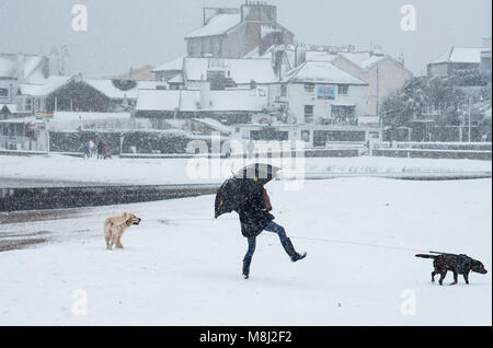 Schnee in Lyme Regis, 18. März 2018. UK Wetter: Eine junge Frau kämpft mit ihrem Schirm, wie Sie geht ihre Hunde am Strand in der Grafschaft Dorset an der Küste von Lyme Regis, wie das Tier aus dem Osten 2 Hdo. Kredit Celia McMahon/Alamy leben Nachrichten. Stockfoto